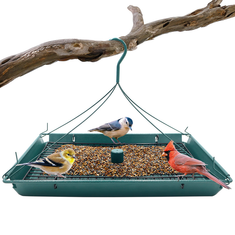 Leandro Metal Tray Bird Feeder