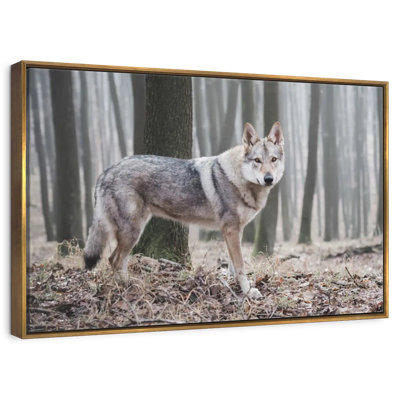 Loup d'hiver brumeux