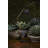 Halvard 55'' Black LED Task Floor Lamp
