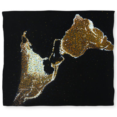 American Continent at Night Gold King Duvet Cover - White Back