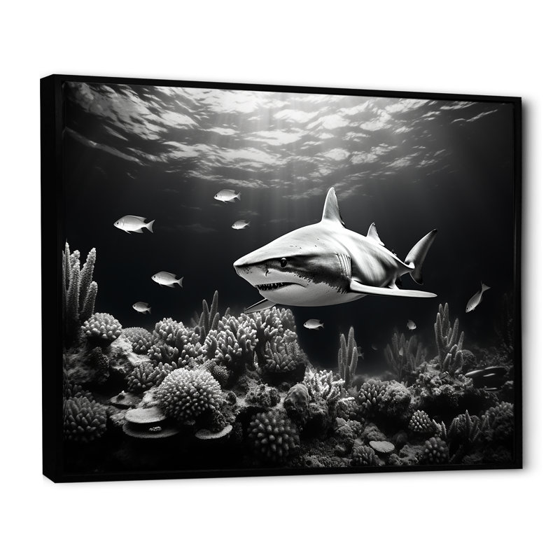 " Black And White Shark S Graceful Glide ", Black Floater Frame, 34" H x 44" W x 1.5" D