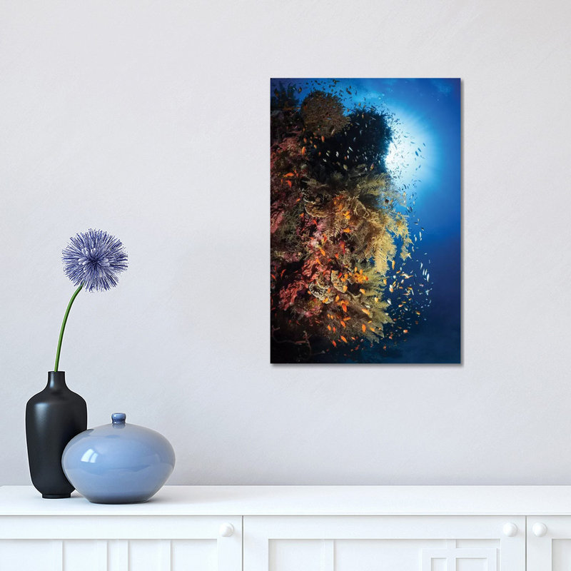 Life Explosion by Barathieu Gabriel - Print on Canvas, Wrapped Canvas, 45.72cm H x 30.48cm W x 1.91cm D