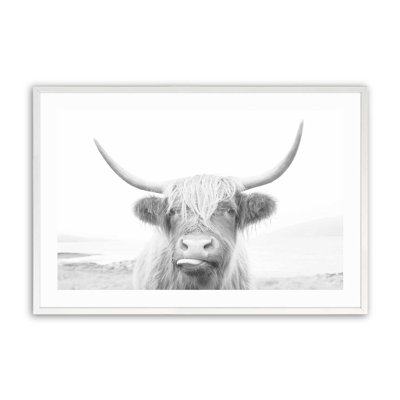 Imprimé de vache Highland ludique
