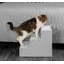 Escalier 3 marches pour animaux