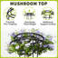 165cm H x 25.5cm W Metal Arched Trellis
