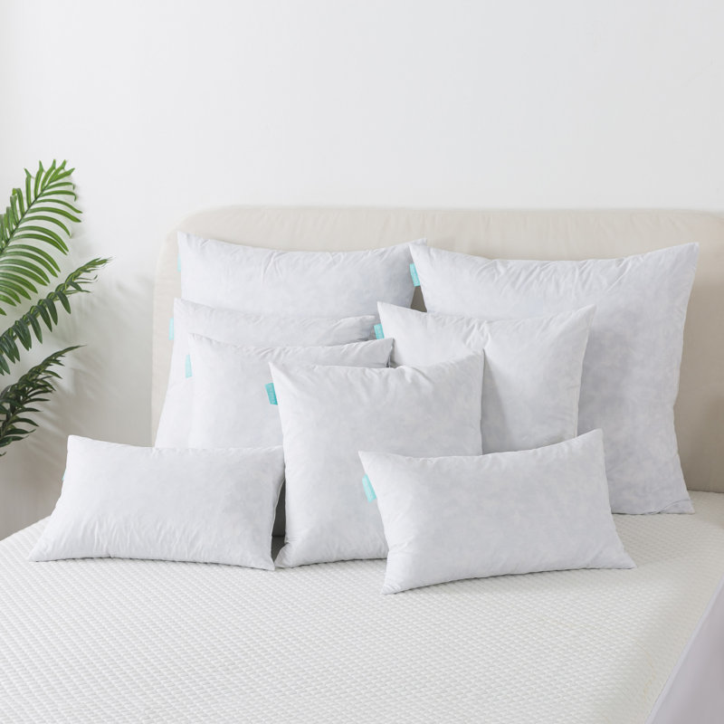 Insert de coussin