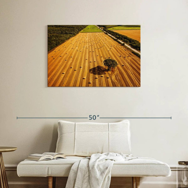 Alvord Hay Bales Fields, H 24 po x l 36 po