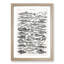 Study of Fish XLVH by Oliver Goldsmith - Framed Print-55730383-55730385
