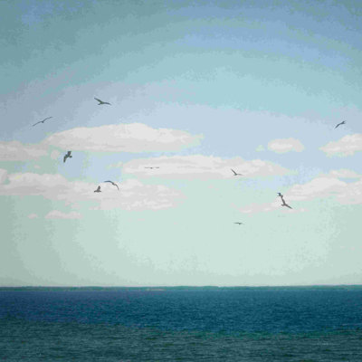 Calm Days IV