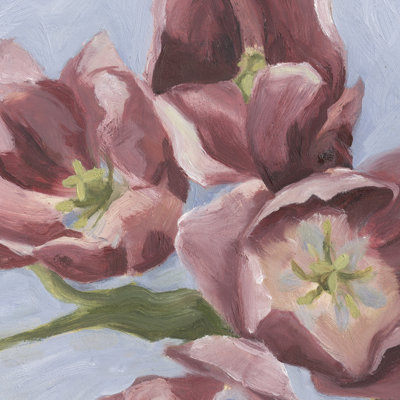 Mauve Tulips II by Emma Scarvey - Wrapped Canvas Painting