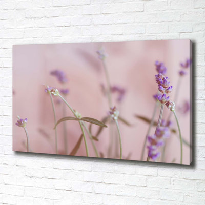 Lavender - Wrapped Canvas Print