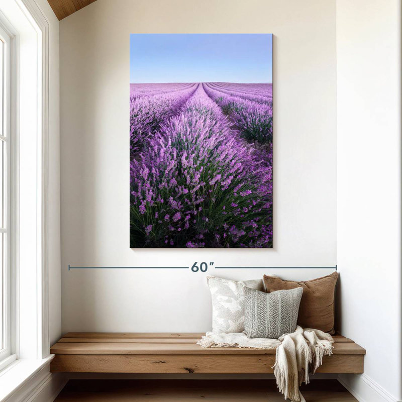 Lavande française Alvord Provence, H 48 po x l 32 po