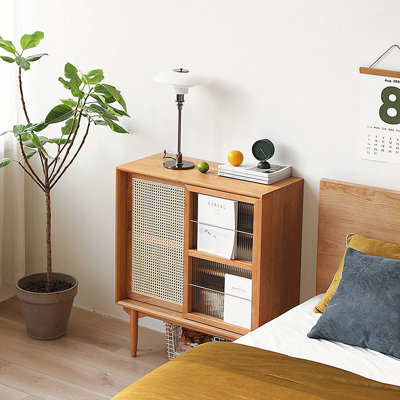 Rattan Glass Door Display Magazine Cabinet