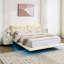 Pink Button - Floating Bed Frame With Led Lights, Queen Size, Pu Leather, Comfortable Rest Size Design,-2082378986