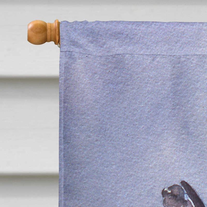 Double Sided 40'' H x 28'' W Polyester House Flag