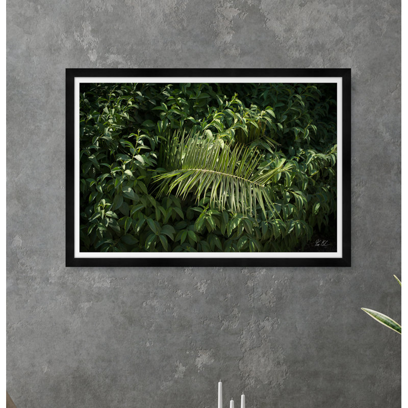 Athens Palm Print by Tim Klein