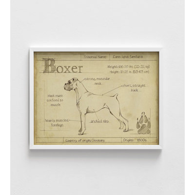 Antique Boxer (ASH) By Ethan Harper, Boxer Dad Birthday Gift Idea, Large Dog Poster Print, Boxer Surprise Gift Wall Art