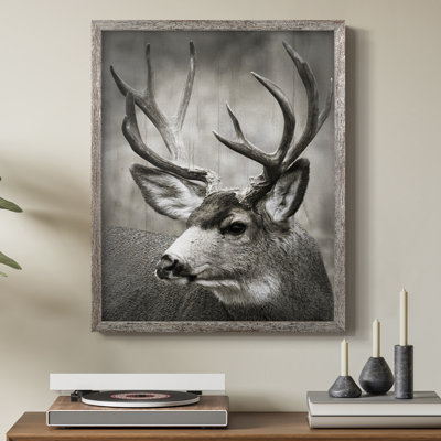 Focused Buck Framed Print - Solid Wood