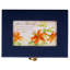 Stationery Set Suede Navy Floral Thanks