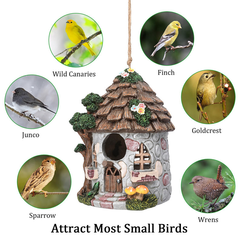 Maison d'oiseaux en résine pour l'extérieur