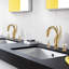 Robinet de lavabo de salle de bain surdimensionné à fixation sur le comptoir Golden Swan