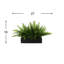 Outdoor UV Rated Ferns Arranged in Fiberstone Planter-1032901548-1065045422