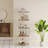 Jamisen Bookcase, Display Cabinet Curio Cabinet, Floor Standing Bookshelf, Acrylic and Wood-559913885