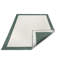 Panama Flatweave GreenCream Rug-72873754