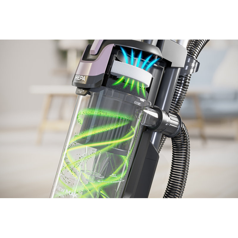 Cleanview Max Allergen