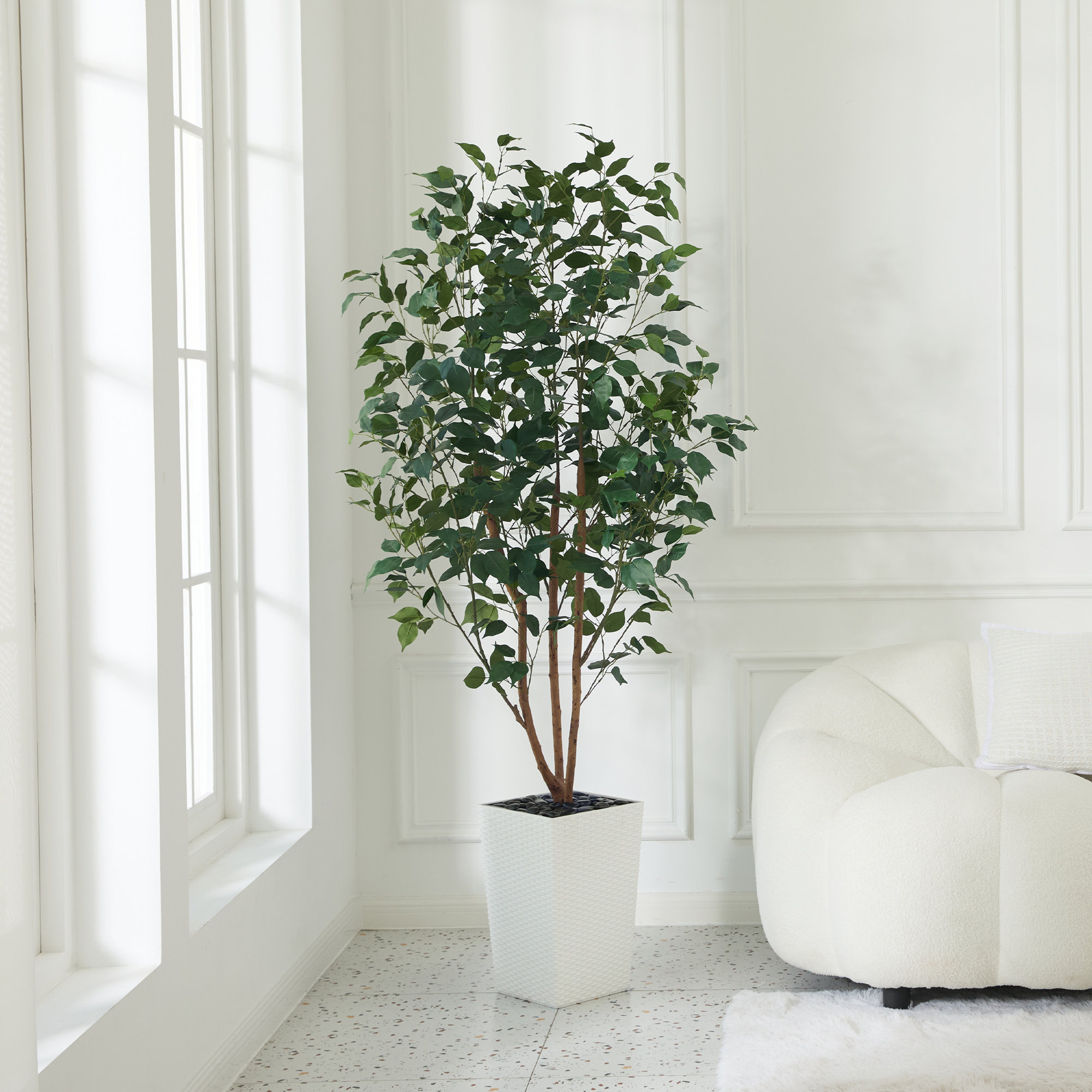 Almont UV Protected Artificial Ficus Tree with Decorative Base, Faux Ficus Plant with Natural Trunk, White