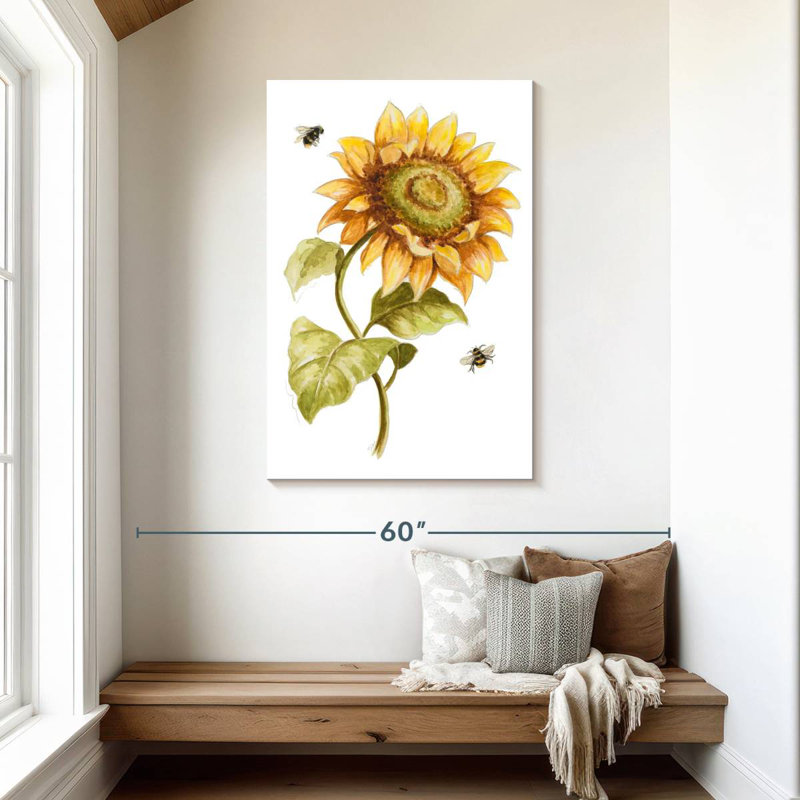 Tournesol Harnek Harvest Gold II, H 45 po x l 30 po