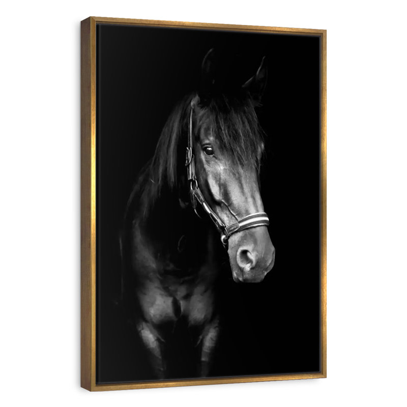 Cheval noir dans le noir, Cadre flottant doré, 13 po x 19 po