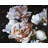 Peonies Floral & Botanical Polyester Placemat for Romantic Decor