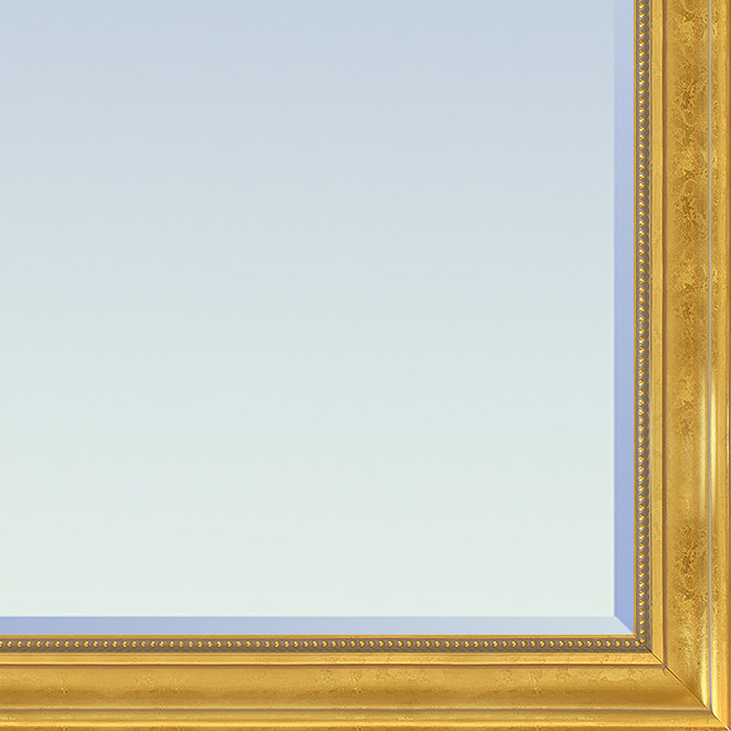 Miroir mural Franchesska, 20 po x 30 po