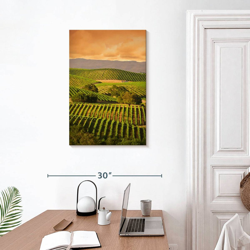 Alvord Carneros Vineyard, H 30 po x l 20 po