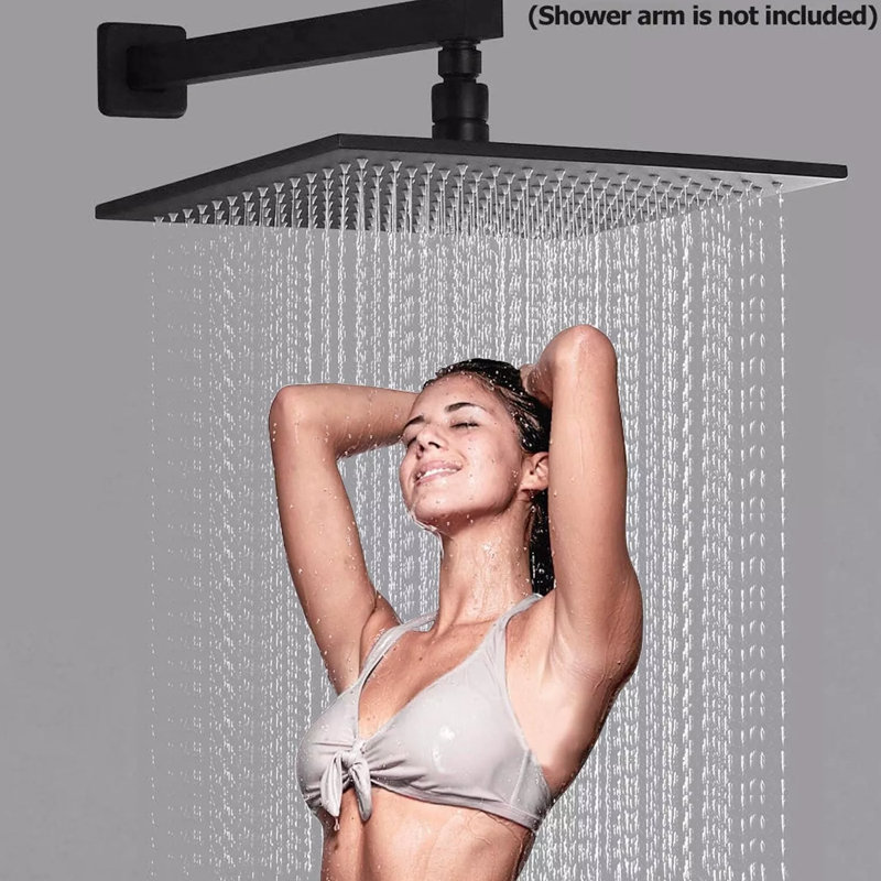 Pomme de douche à pluie 1,8 GPM GPM