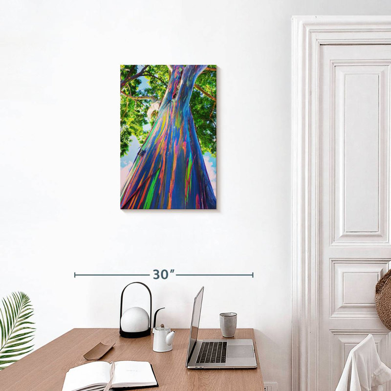 Eucalyptus hawaïen Harnek, H 24 po x l 16 po