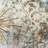 Oriental Indoor Rug-511825214