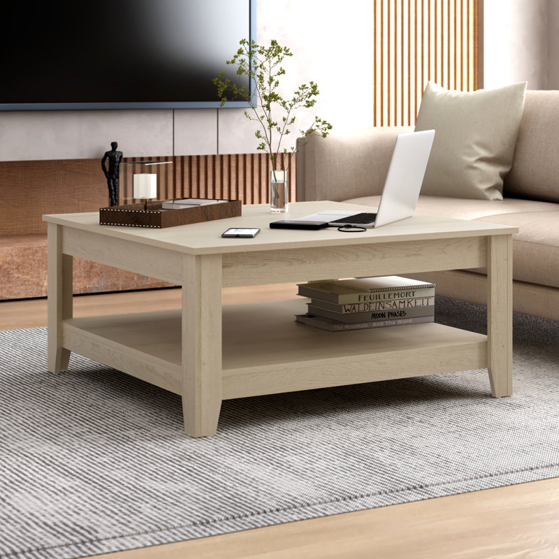Weddel Basilico Coffee Table with Storage, Blanc pur