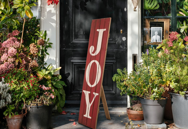 Outdoor Holiday Decoration Deals