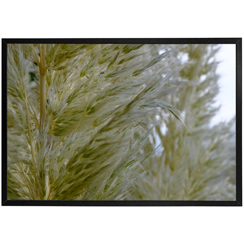 Lynnea Single Picture Frame Print, 76cm H x 114cm W x 4cm D, Black Framed