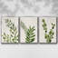 Botanical Wash I 3 pièces-97758417-97758418