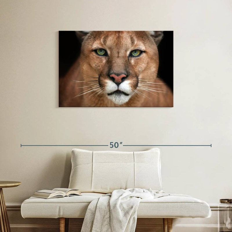 Crowle Staring Puma, 24" H x 36" W