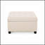 Isabella OTTOMAN avec un revêtement élégant et un rangement spacieux, parfait pour l'organisation et le style de la maison moderne.-1600599456