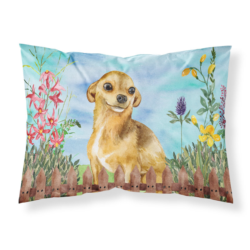Alaskan Microfiber, Chihuahua