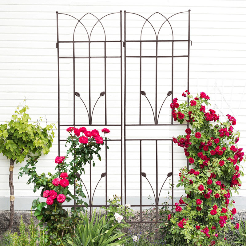 Treillis métallique de 71 po x 17,7 po pour le jardin, brun antirouille, jasmin, raisin, support de fleurs extérieur, concombre facile à assembler, haricots, pois, assemblage de plantes