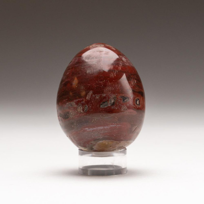 Petrified Wood Egg, 2" H x 1.75" W x 1.75" D, Orange/Yellow/Brown