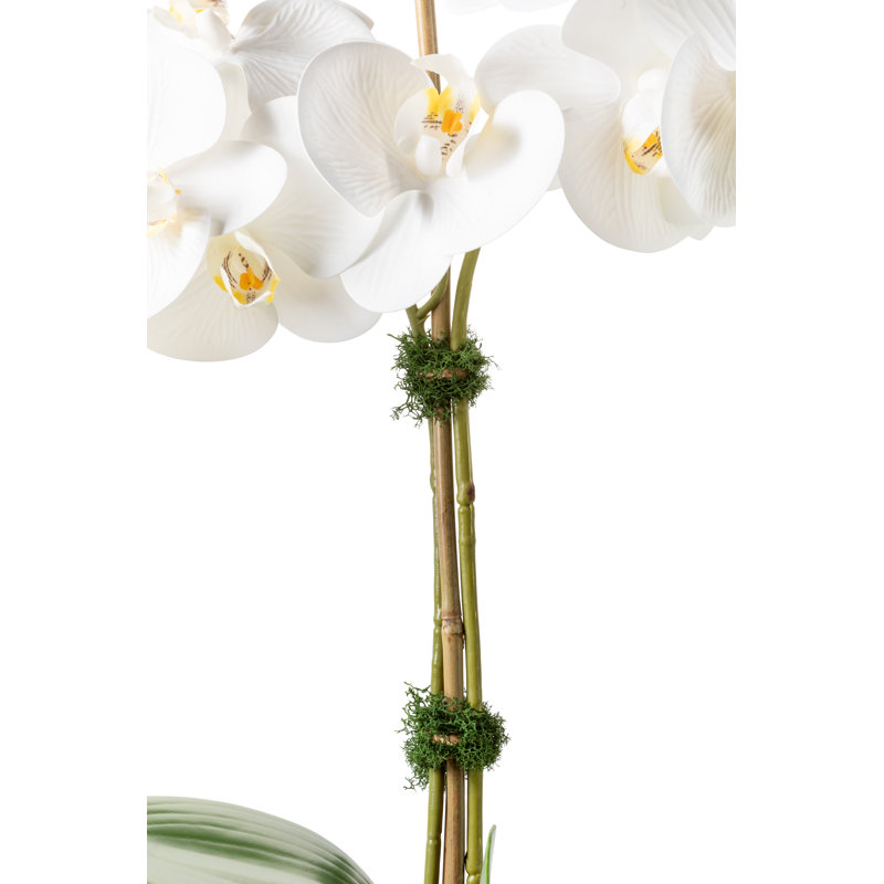 Rosalyn Realtouch Orchid in Cement Vase, White
