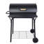 Fumoir au charbon de bois pour la cuisson barbecue en plein air