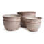 Camelia Pots Set Of 3 White-1389435249